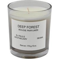 FRAMA – Deep Forest Scented Candle – Duftkerze (282 EUR/kg) FRAMA – Deep Forest Scented Candle – Duftkerze (282 EUR/kg)
