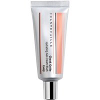 Chantecaille - Cheek Gelée - Bronzer (2405 EUR/l) Chantecaille - Cheek Gelée - Bronzer (2405 EUR/l)