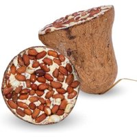 lyra-pet-futterglocke-mit-erdnuessen-8-stueck