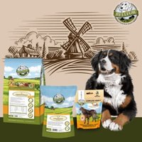 Bellfor Berner Sennenhund Futter Set Bellfor Berner Sennenhund Futter Set