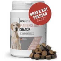 REAVET Magen & Darm Snack 170g