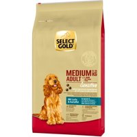 SELECT GOLD Sensitive aliment sec pour chien adulte de race moyenne Saumon & pommes de terre 12 kg