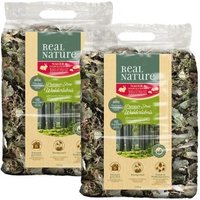 REAL NATURE Litière premium Ambiance forestière 2x500 g