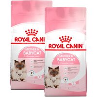 ROYAL CANIN Mother Babycat 2x4 kg