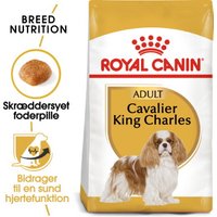 ROYAL CANIN Cavalier King Charles Adult 1,5 kg