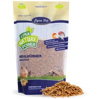 lyra-pet-mehlwuermer-getrocknet-1-65-kg