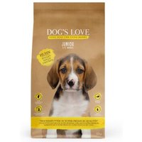 DOG'S LOVE Dog’s Love Junior Saumon et poulet 12 kg