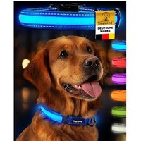 Tierhood Leuchtehalsband LED Halsband blau M