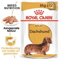 ROYAL CANIN Teckel Volwassen Mousse 12x85 g