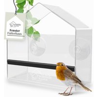 wildlife-home-fenster-futterhaus-birdy