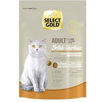 SELECT GOLD British Shorthair Croquettes Chat Adulte Volaille & saumon 300 g