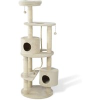 anione-kratzbaum-zana