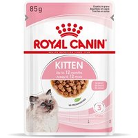 ROYAL CANIN Kitten en sauce 12x85 g