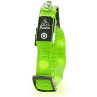 Petsation leuchtendes Katzenhalsband M-L grün