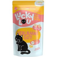 Lucky Lou Nourriture humide chat adulte Volaille et agneau 64x125 g