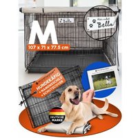 Transport en train - SNCF