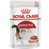 ROYAL CANIN FHN Instinctive in Gravy 48x85g