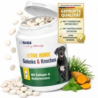 GIGI VET Aktvie Hunde Gelenke & Knochen 90x216 g