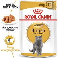 ROYAL CANIN British Shorthair Adult 12x85 g