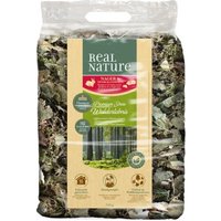 REAL NATURE Litière premium Expérience forestière 500 g