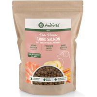 AniForte Trockenfutter FjordSalmon - frischer Lachs mit Kartoffeln 2 kg