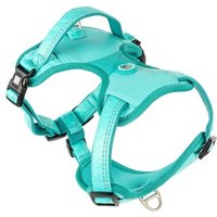 Max & Molly Sport Geschirr - Matrix 2.0 türkis S