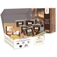 Wildfang Paket "Feinschmecker Mini"