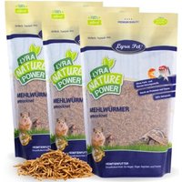 lyra-pet-mehlwuermer-getrocknet-3x1-kg