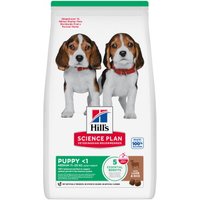 Hill's Science Plan Trockenfutter Hund, Medium Puppy mit Lamm und Reis 2.5 kg