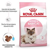 royal-canin-mother-babycat-2-kg