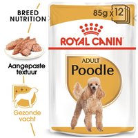 ROYAL CANIN Poedel Adult in Saus 12x85 g