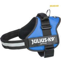 Trixie Julius-K9® Powergeschirr® Gr. 0-3 blau XL Trixie Julius-K9® Powergeschirr® Gr. 0-3 blau XL