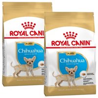 ROYAL CANIN Chihuahua Puppy 2x1,5 kg