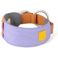 Woolly Wolf Halsband Alpha 360 Lavendermix L