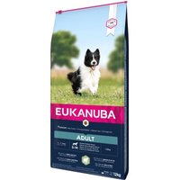 EUKANUBA Adult Small & Medium Breed Lamm & Reis 12 kg