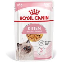 ROYAL CANIN FHN Kitten in Jelly 48x85g