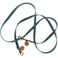 Wildfang Hundeleine "Waldgeflüster" aus U.S. Biothane und Lederbutton mit Wildfang Logo (16 mm breit / 2,30 m lang)