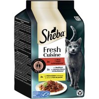Sheba Fresh Cuisine nourriture humide pour chat adulte multipack Taste of Paris 36x50 g