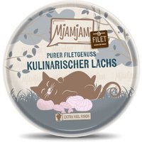 MjAMjAM nourriture humide pour chat adulte, pur plaisir de filet 16x80 g Saumon
