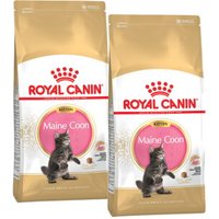ROYAL CANIN Maine Coon Kitten 2x10 kg