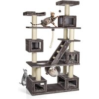 canadian-cat-company-kratzbaum-logan