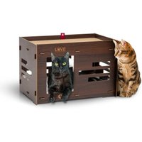 canadian-cat-company-katzenhaus-petitot
