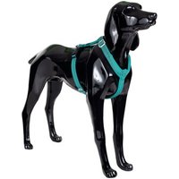 Paikka Easy Harness emerald grün/ türkis XXS