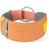 Woolly Wolf Halsband Alpha 360 Golden Hour Mix L