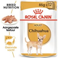 ROYAL CANIN Chihuahua Adult Mousse 12x85 g