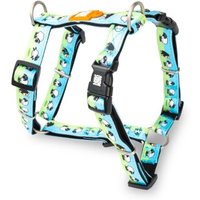 Max & Molly H-Geschirr - Black Sheep M