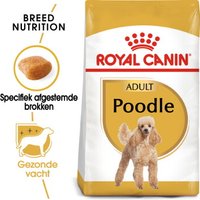 ROYAL CANIN Poodle Adult 3 kg