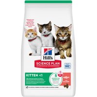 Hill's Croquettes sèches pour chaton Science Plan Saumon 2x7 kg