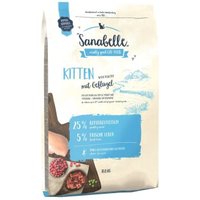 Sanabelle Kitten 10 kg