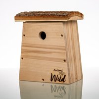 aniforte-nistkasten-kohlmeisen